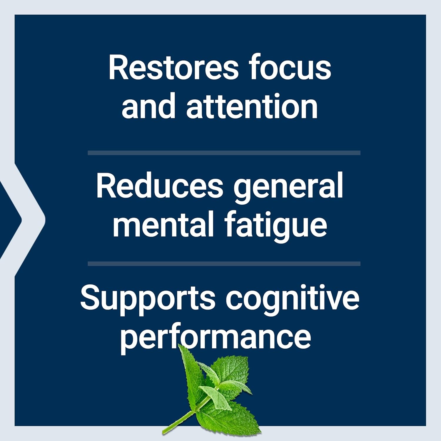 Life Extension Brain Fog Relief, Mango Leaf Extract, Standardized Peppermint Oil, Nootropic Brain Supplement for Clarity and Focus, Fast-Acting, Caffeine-Free, Gluten Free, Non-Gmo, 30 Softgels