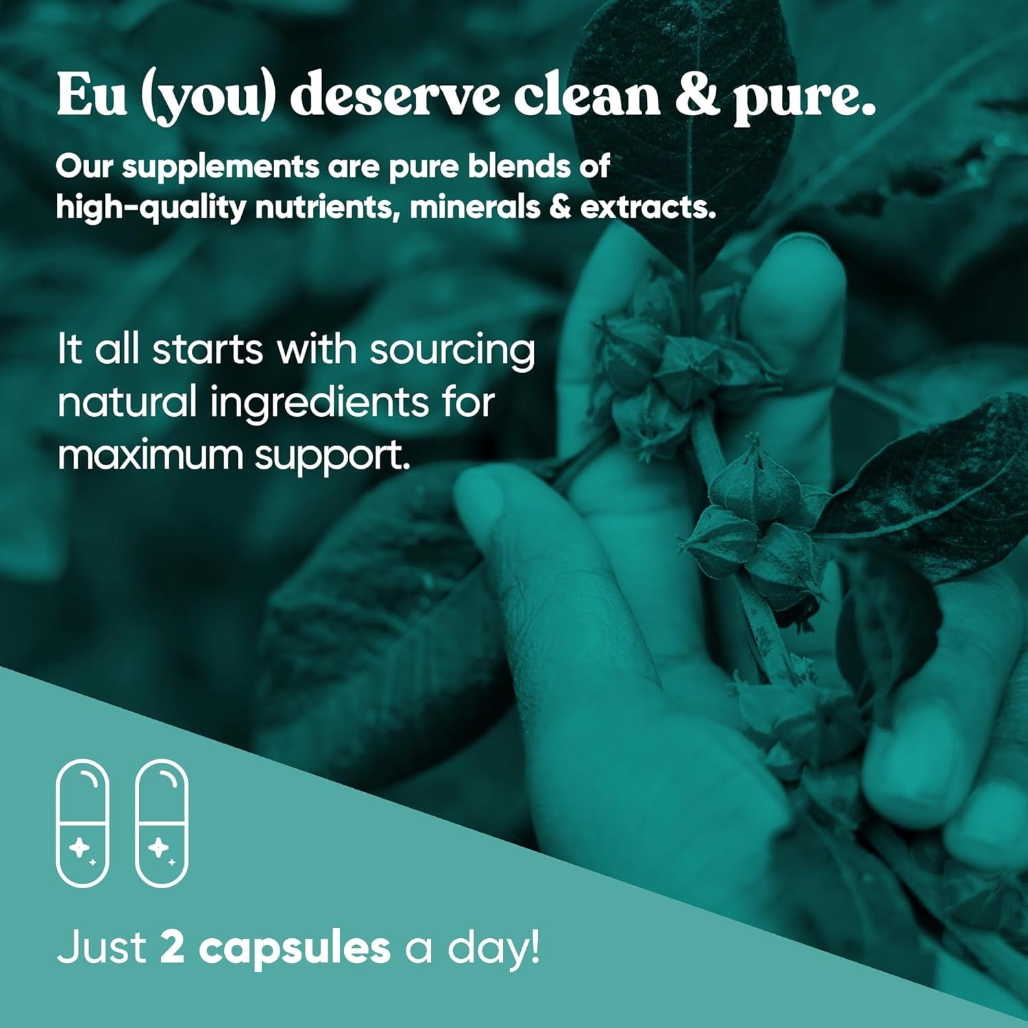 Thrive Energy Support - Naturally Fight Fatigue, Balance Hormones, Promote Focused Energy - Zinc, Selenium, Iodine - 60 Vegetarian Soft Capsules