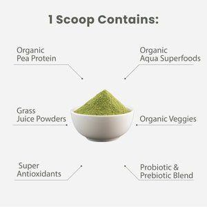 Paradise Herbs ORAC Energy Protein & Greens Powder, Antioxidant Power of 24 Servings of Fruits & Vegetables in 1 Scoop + 20G Protein, Unflavored, 15 Servings
