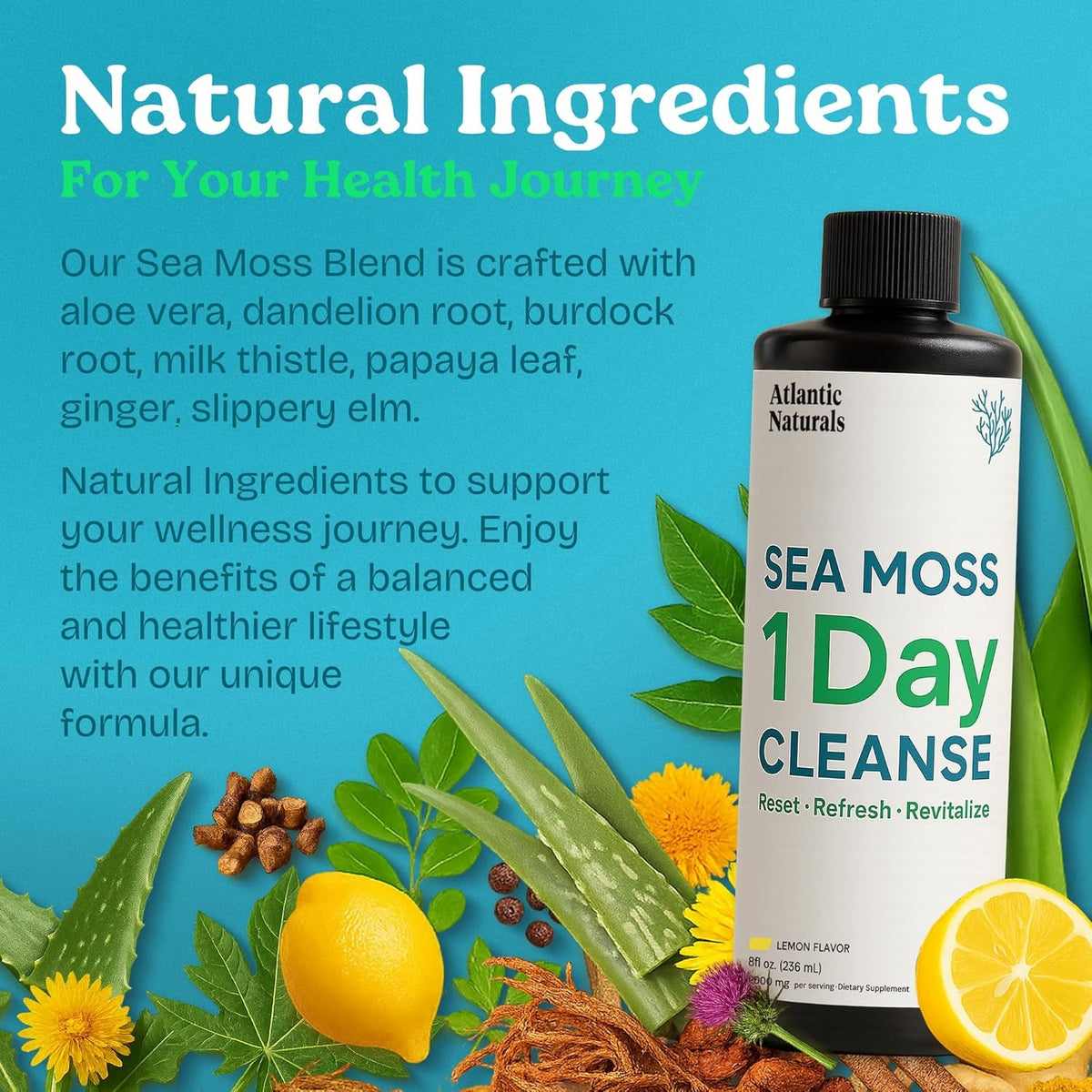 Atlantic Naturals - 1 Day Colon Cleanse Full Body Detox Drink - Sea Moss Supplement for Women & Men, Gut Health, Kidney & Liver Immune Energy Enhancer Gut Cleanse - Lemon Flavor Juice, 8 Fl Oz