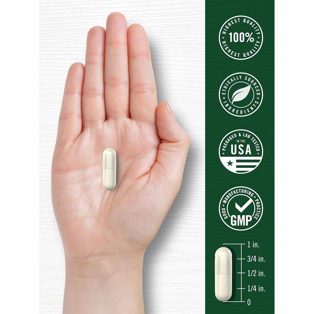 Carlyle Sulforaphane Supplement | 400 Mcg | from Broccoli Seed Extract | 180 Capsules | Traditional Herbal Supplement | Non-Gmo and Gluten Free Formula