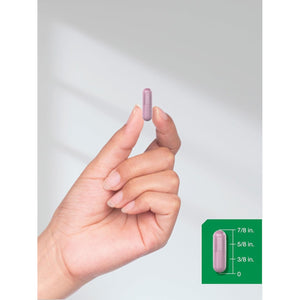 Horbäach Beet Root Powder Capsules | 220 Pills | Herbal Extract | Non-Gmo, Gluten Free Supplement