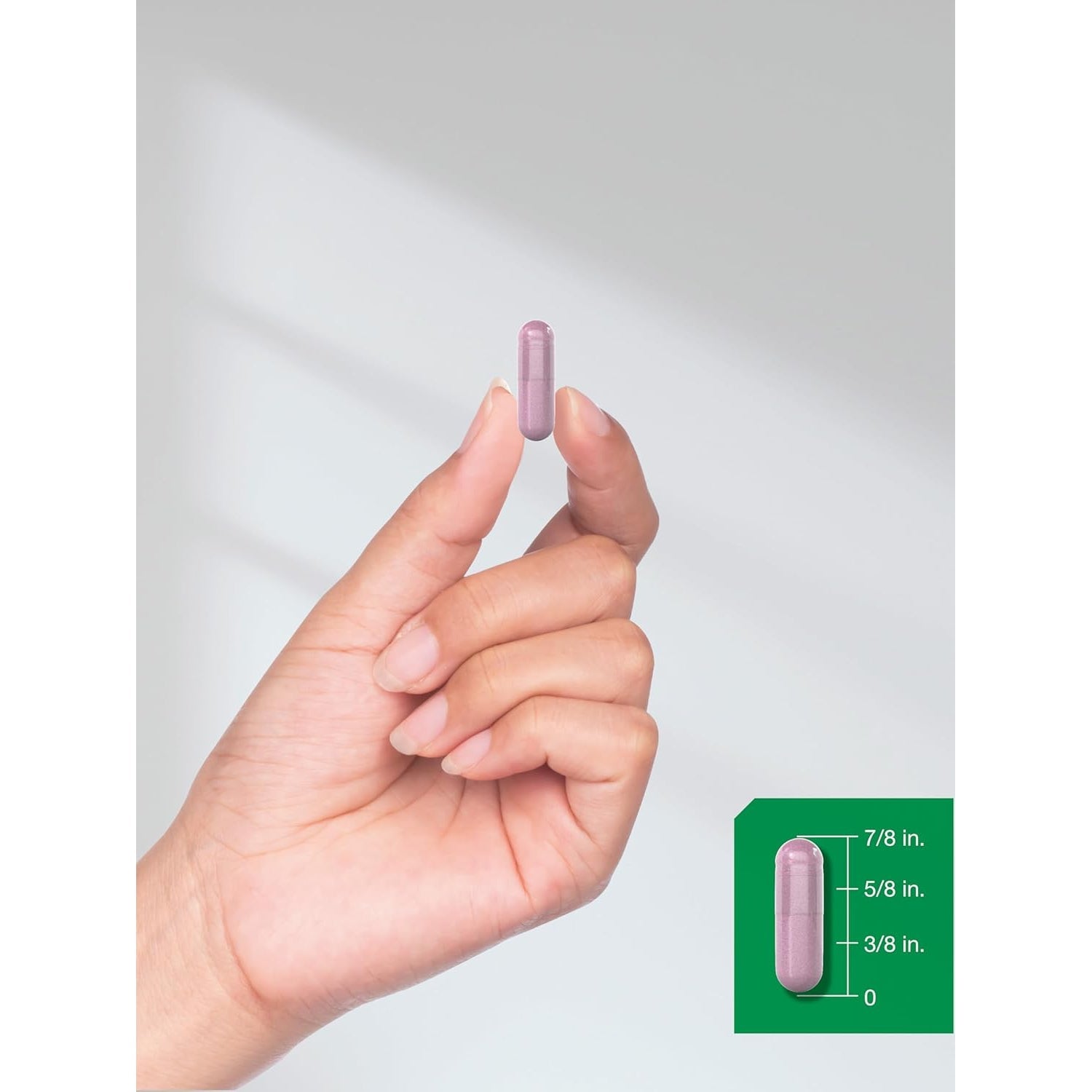 Horbäach Beet Root Powder Capsules | 220 Pills | Herbal Extract | Non-Gmo, Gluten Free Supplement