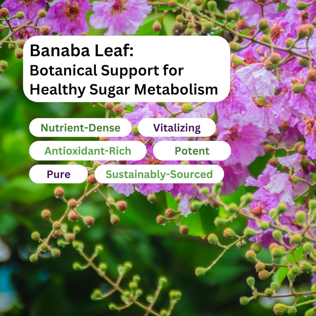 Paradise Herbs, Banaba Leaf, 12:1 Concentrated Extract, 250 Mg, Vegan, Gluten-Free, Non-Gmo, 180 Capsules