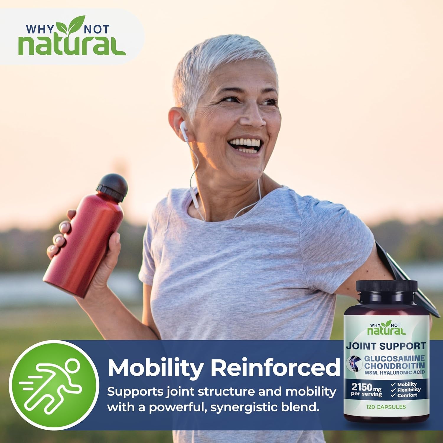 Why Not Natural Glucosamine Chondroitin, MSM, Joint Support Supplements - Knee Pain Joints Health Suppplement