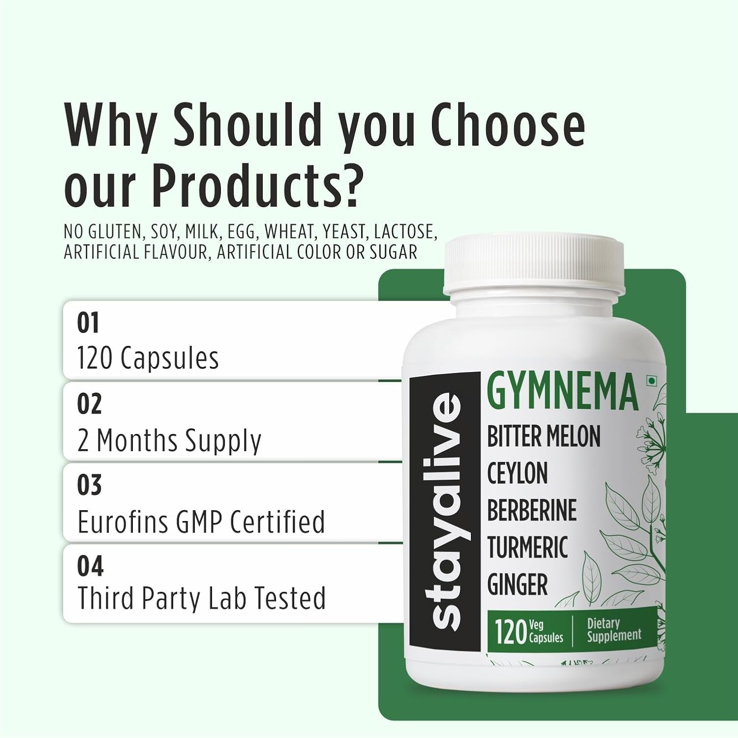 STAY ALIVE Gymnema Sylvestre 25:1 Extract, 120 Capsules with Bitter Melon, Ceylon Cinnamon, Berberine, Turmeric, Ginger, Amla Powder and Fenugreek, Non-Gmo & Gluten Free Gymnema Sylvestre Supplement