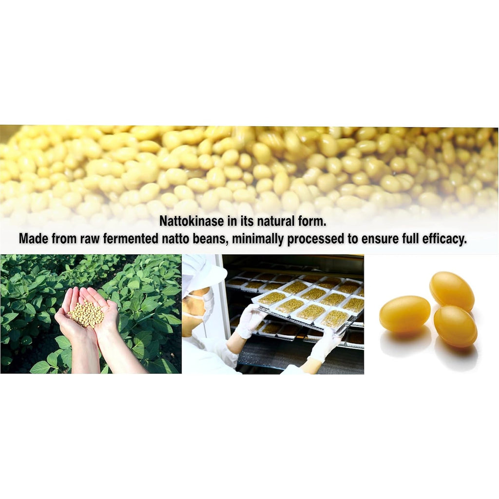 PHARMAKON Natural Nattokinase Fermented Soybean Extract, 6000 Fus per Serving