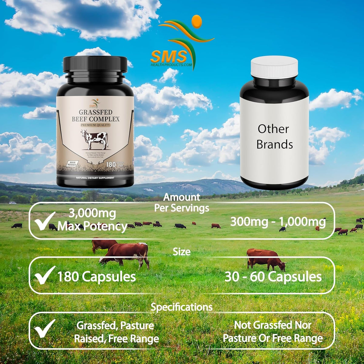 Beef Organ Supplement - Grass Fed & Pasture Raised - Total Body Wellness & Performance, Organ Complex with 3000Mg of Desiccated Beef Liver, Heart, Kidney, Pancreas, Spleen (180 Capsules)