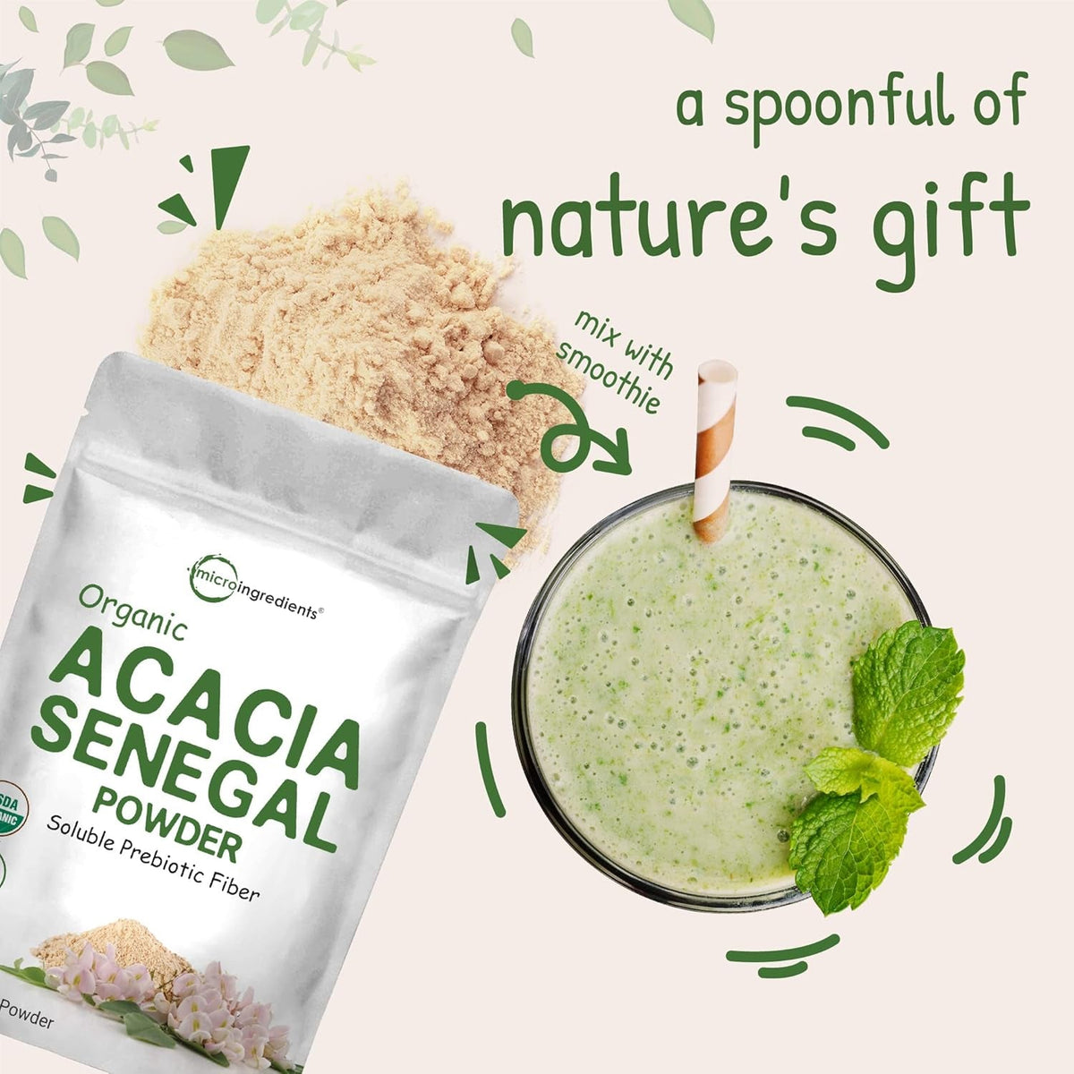 Micro Ingredients Organic Acacia Senegal Fiber Powder, 2 Lb | Instant Soluble Fiber | Plant-Based Prebiotic for Gut & Digestive Health | Non-Gmo, Gluten-Free, Vegan