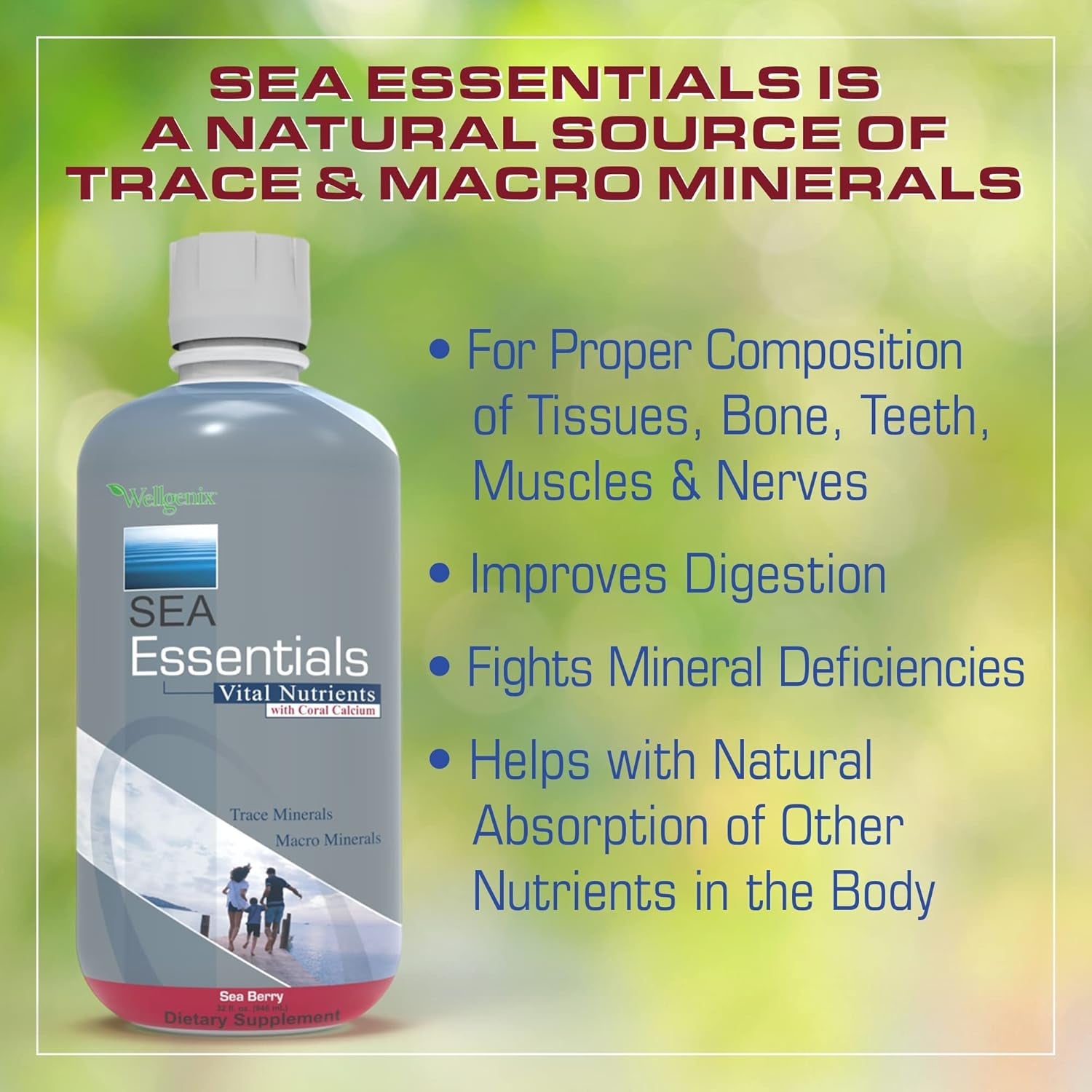 Wellgenix Sea Essentials Liquid Mineral Dietary Supplement with Trace and Macro Minerals and Coral Calcium – Sea Berry Flavor – 32 Fl Oz