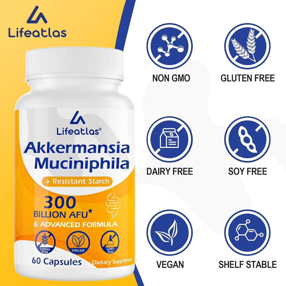 Lifeatlas Akkermansia Supplement Probiotic | Akkermansia with 300 Billion AFU Akkermansia Probiotic, 6-In-1 Akkermansia Probiotics for Women and Men, Daily Akkermansia Supplement, 60 Caps