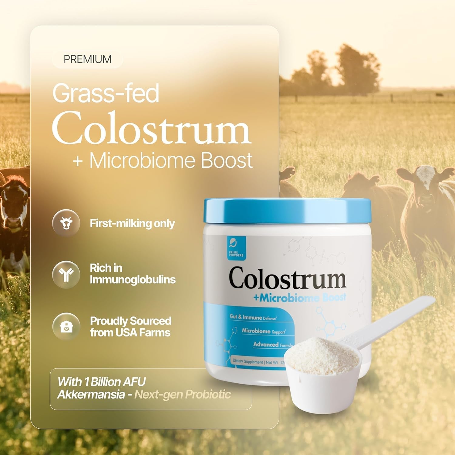 Prime Powders Colostrum Powder | Grass-Fed Bovine Colostrum with Akkermansia Probiotic 1B AFU | Microbiome & Gut Support | High Igg Advanced Formula | 120 Servings