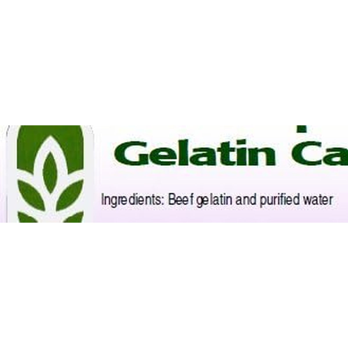 Capsule Connection USA-MADE 500 Bulk Empty Gelatin Capsules, 00 Size Resealable Bag