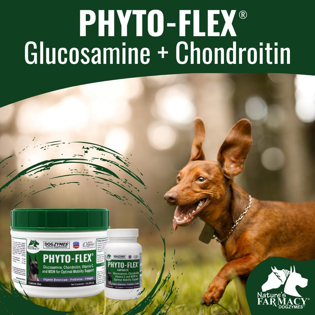 Dogzymes Phyto Flex - Glucosamine, Chondroitin, MSM and Hyaluronic Acid… (1 Pound)