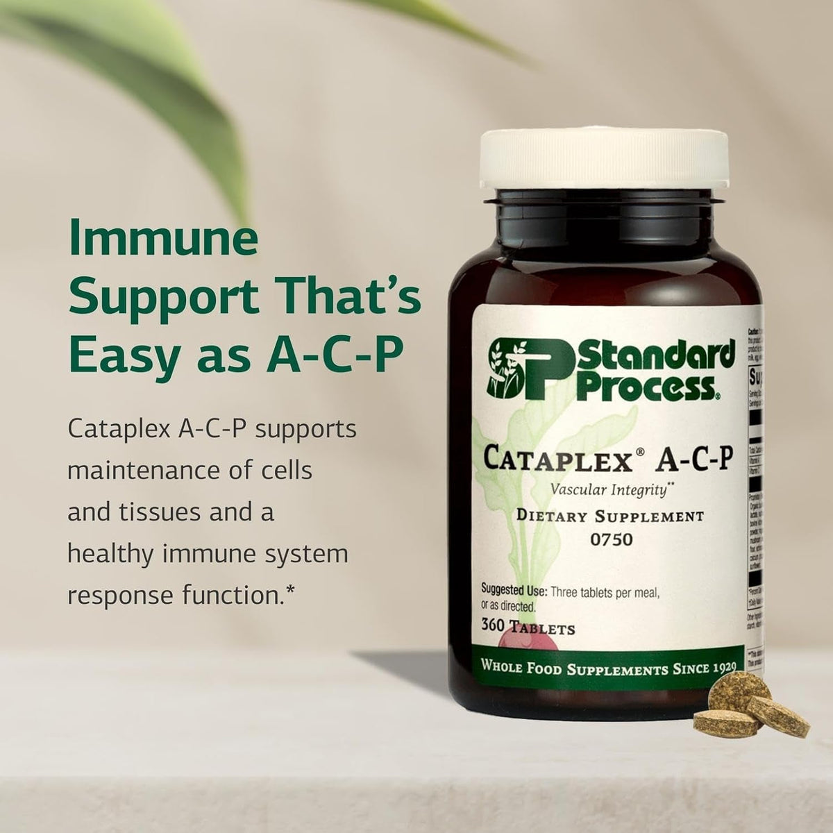 Standard Process Cataplex A-C-P Healthy Cell & Tissue Dietary Supplement - Non-Dairy & Non-Soy - Vascular & Immune Supplement Care - 360 Tablets (120 Servings)