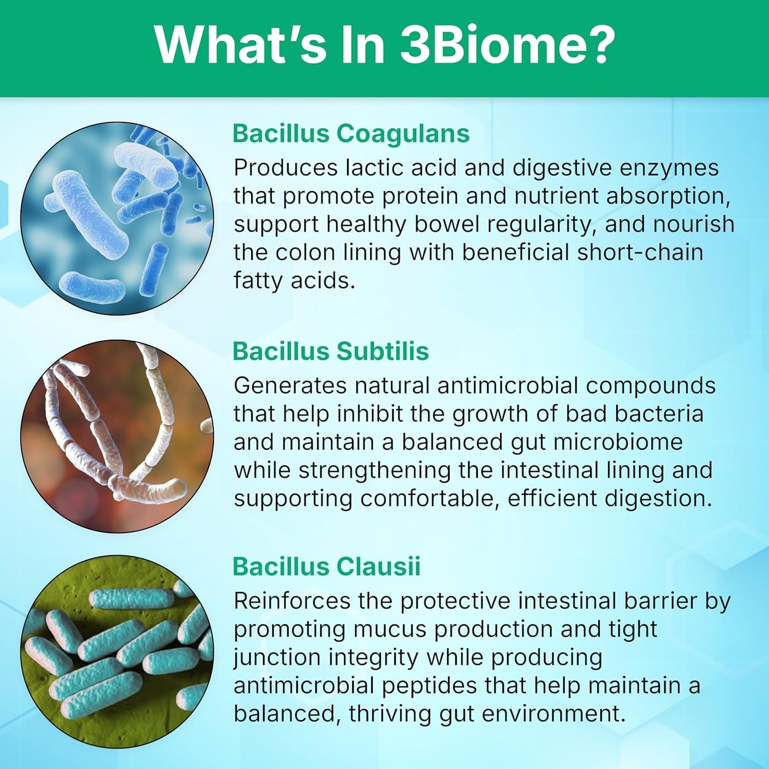 3Biome - Natural Probiotic Supplement - Non-Gmo, Vegan, Gluten-Free