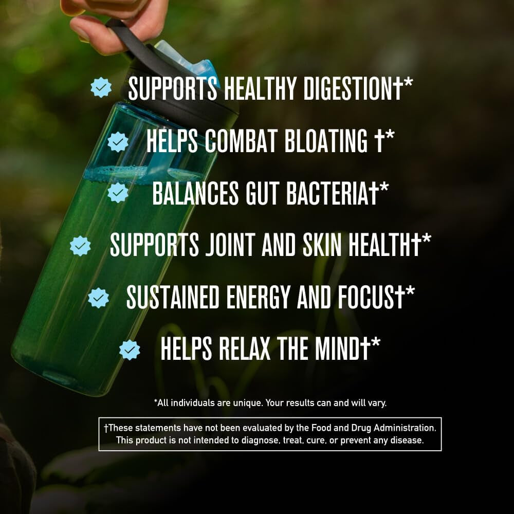 ROUNDHOUSE PROVISION Morning Kick, Greens Superfood Powder Supplement with Ashwagandha, Collagen & Probiotics - Sugar Free, Caffeine Free (3 Pack, Strawberry Lemonade Flavor) by Chuck Norris