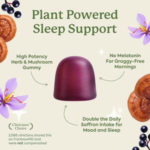 Plant People Wondersleep Mushroom Gummies Supplement for Sleep, No Melatonin Sleep Gummies with Reishi Mushroom, Saffron & Chamomile, Wild Elderberry Flavor, Sugar-Free (60 Count)