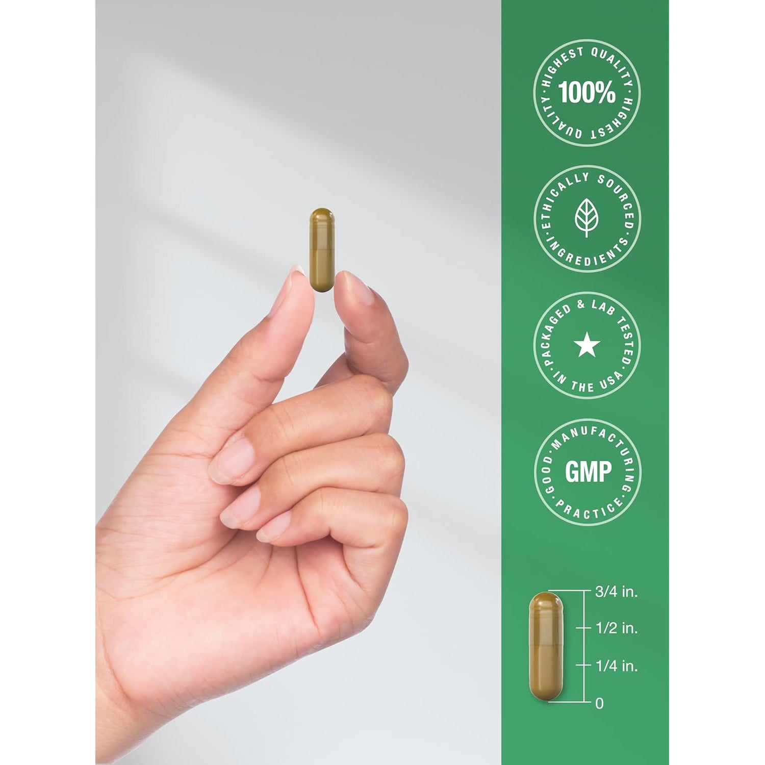 Horbäach Dandelion Root Supplement | 120 Capsules | Non-Gmo, Gluten Free