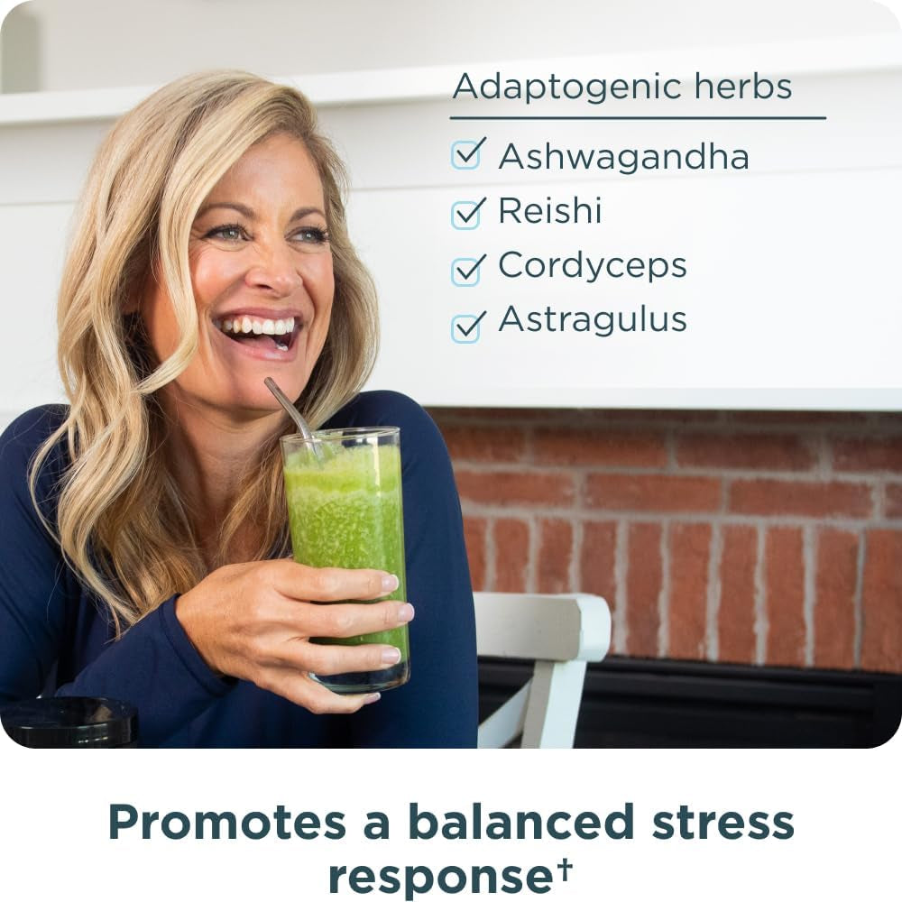 Ancient Nutrition Super Greens Powder, Organic Superfood Powder with Probiotics Made with Spirulina, Chlorella, Matcha, and Digestive Enzymes, 25 Servings, 7.05Oz