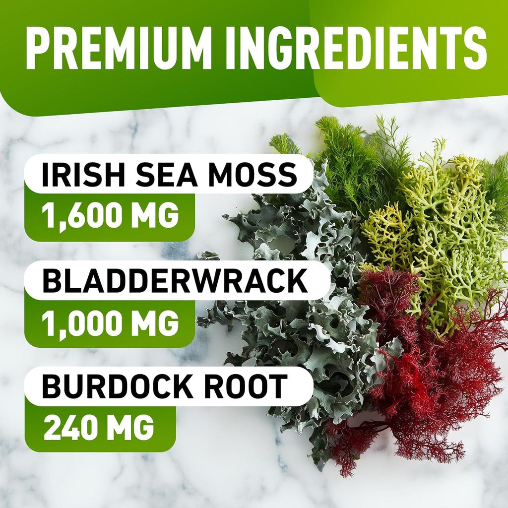 Biovit Sea Moss Gummies - Wildcrafted Irish Sea Moss for Adults & Kids - Seamoss Gel with Bladderwrack & Burdock Root Extract - 60 Vegan Gummies