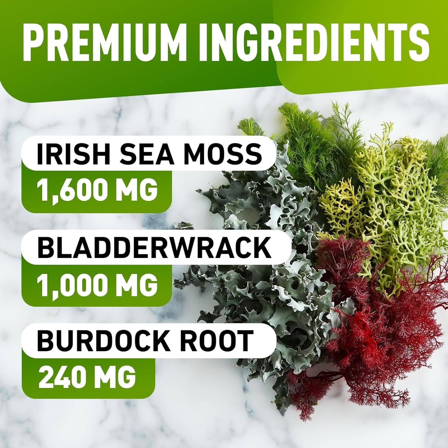 Biovit Sea Moss Gummies - Wildcrafted Irish Sea Moss for Adults & Kids - Seamoss Gel with Bladderwrack & Burdock Root Extract - 60 Vegan Gummies