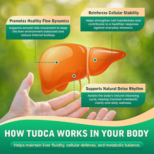 TUDCA Bile Salts 1200Mg Liquid Drops - Advanced Tudca Liver Supplement with ALA, NAC & Glutathione for Bile Flow, Gallbladder Health & Antioxidant Defense, High-Absorption, Lemon 2 Fl Oz