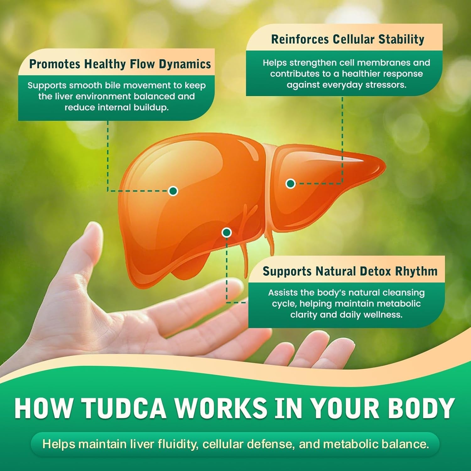TUDCA Bile Salts 1200Mg Liquid Drops - Advanced Tudca Liver Supplement with ALA, NAC & Glutathione for Bile Flow, Gallbladder Health & Antioxidant Defense, High-Absorption, Lemon 2 Fl Oz