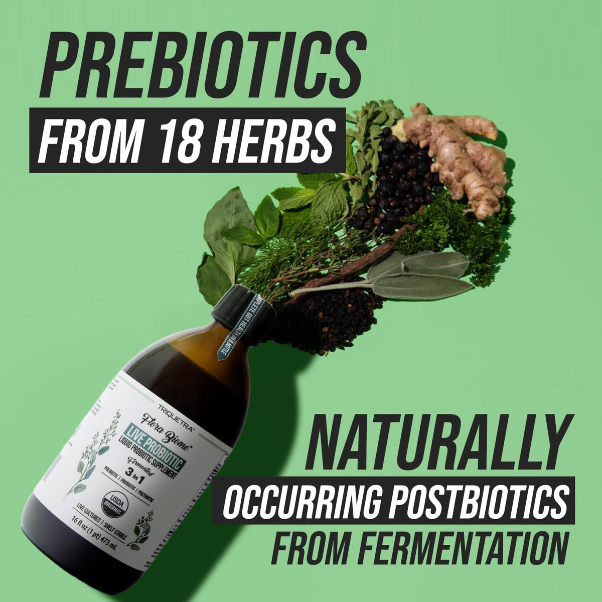 Flora Biome - Live Probiotic, Prebiotic, & Postbiotic – Organic Live-Culture – 10 Probiotic Strains, 18 Fermented Herbs - Complete Gut Health & Microbiome Optimizer (16 Oz)