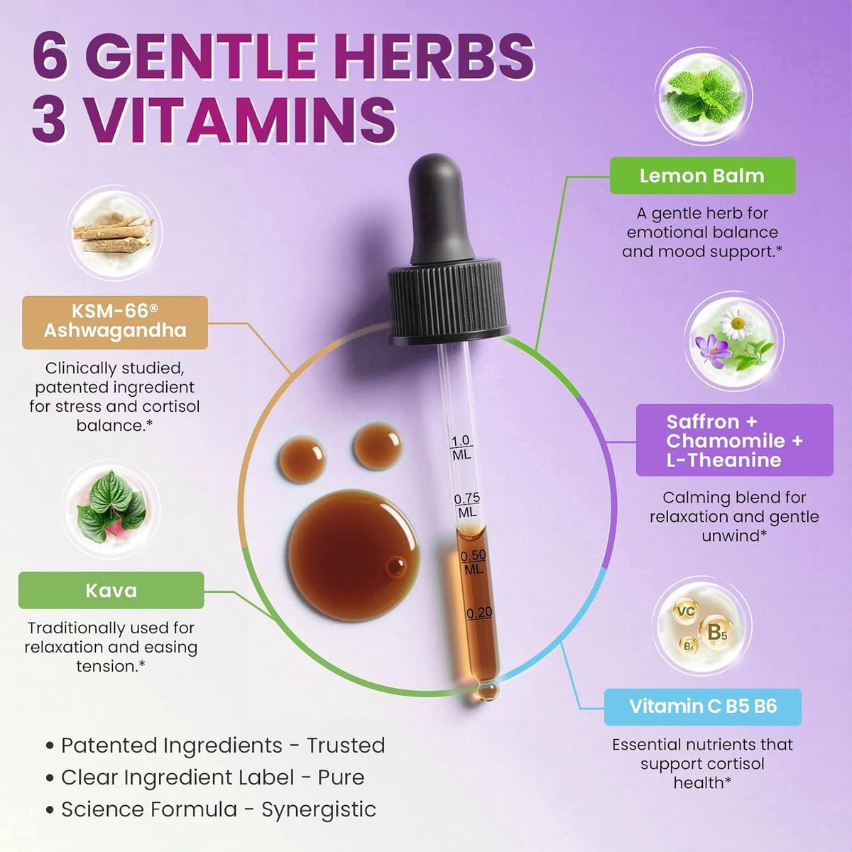 Cortisol Supplements for Women, Cortisol Reducer Manager Detox with KSM-66® Ashwagandha, Kava, Lemon Balm & Vitamin C B5 B6, Lower Cortisol, Hormone Harmony Liquid Drops, 2 FL.OZ, Blueberry Flavor