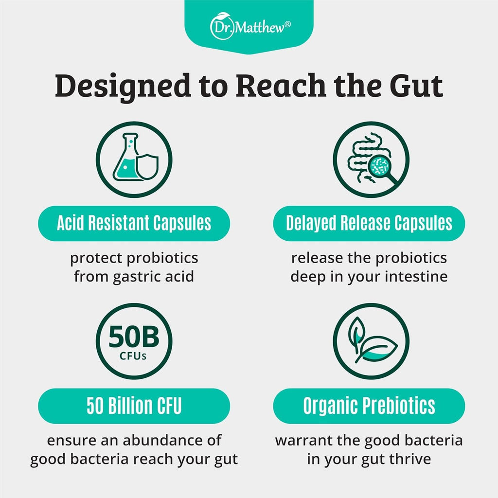 Prebiotics and Probiotics: Lactobacillus Gasseri, Lactobacillus Rhamnosus, Plantarum, Casei, Bifidobacterium Longum, Lactis, Infantis. Probiotic Prebiotic, Pre and Probiotics for Digestive Health.