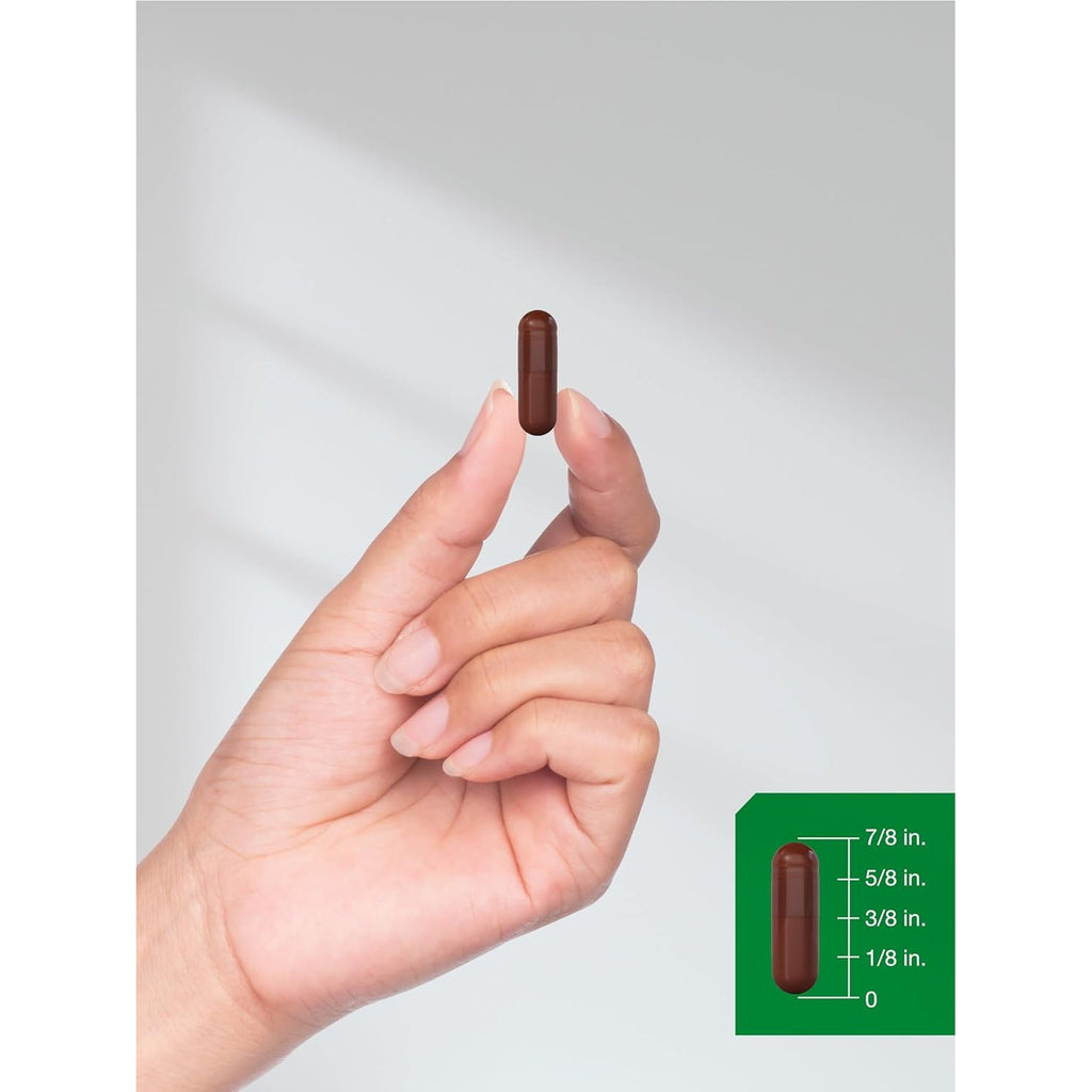 Horbäach Pine Bark Extract | 180 Capsules | Standardized to Contain 75% Proanthocyanidins | Non-Gmo, Gluten Free Supplement | High Potency