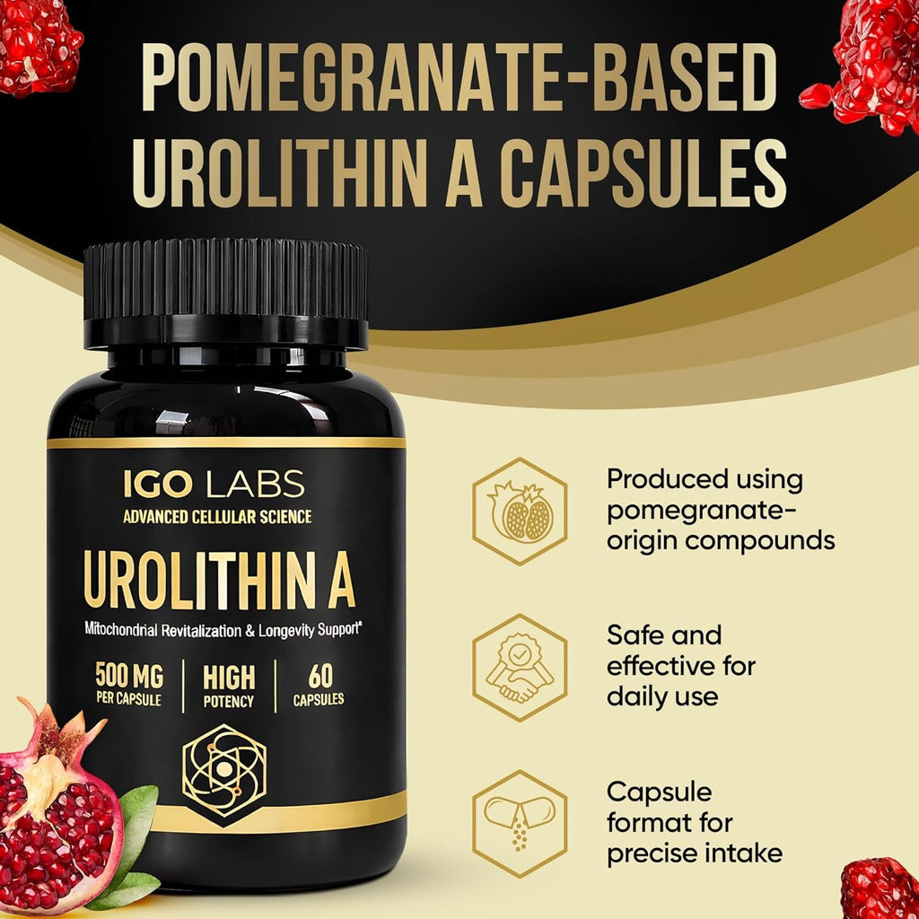 Urolithin a Capsules 500Mg - 1000Mg per Serving Mitochondrial Support Supplement for Cellular Renewal - Longevity Wellness Capsules - High Purity Urolithin a Supplement - 60 Caps
