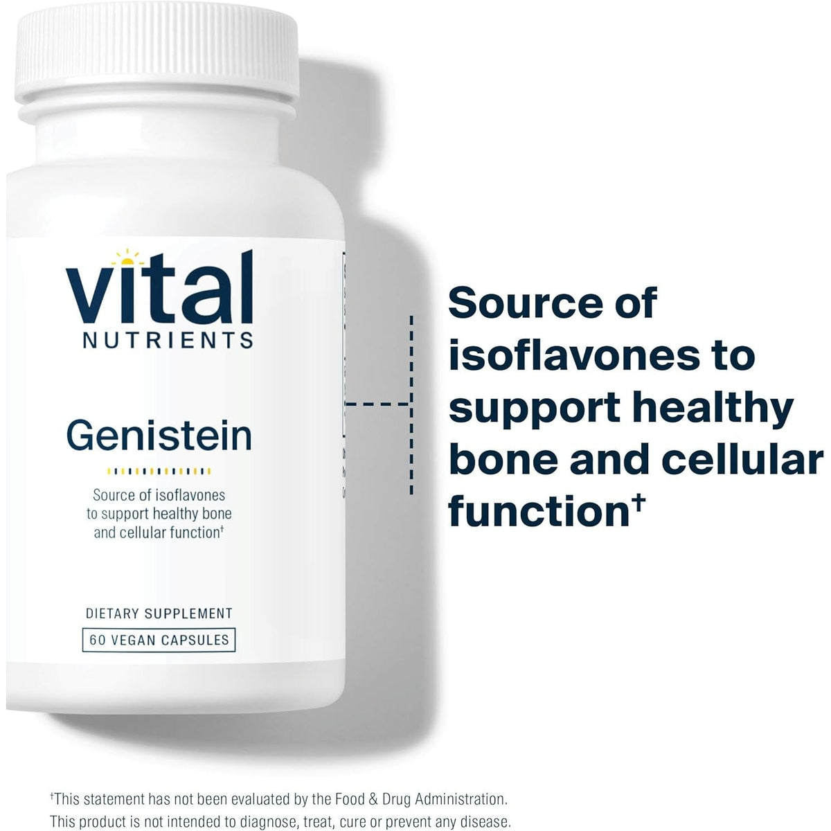 Vital Nutrients Genistein - Easily Absorbed Isoflavones for Bone Health Support* - Vegan Supplement - Gluten and Dairy Free - Non-Gmo - 60 Capsules