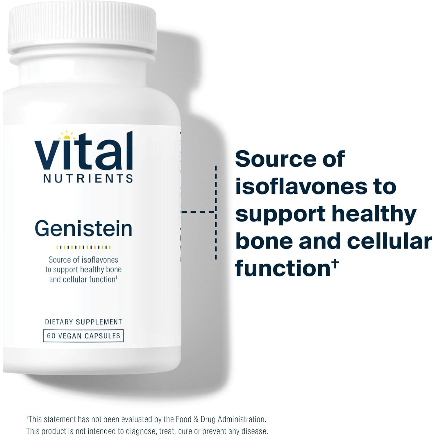 Vital Nutrients Genistein - Easily Absorbed Isoflavones for Bone Health Support* - Vegan Supplement - Gluten and Dairy Free - Non-Gmo - 60 Capsules