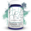 Nootropics Depot Dihydromyricetin (DHM) Capsules | after Drinking Support & Next Day Recovery | DHM Supplement | Supports Alcohol Metabolism | Vine Tea Extract (Ampelopsis Grossedentata) | 60Ct