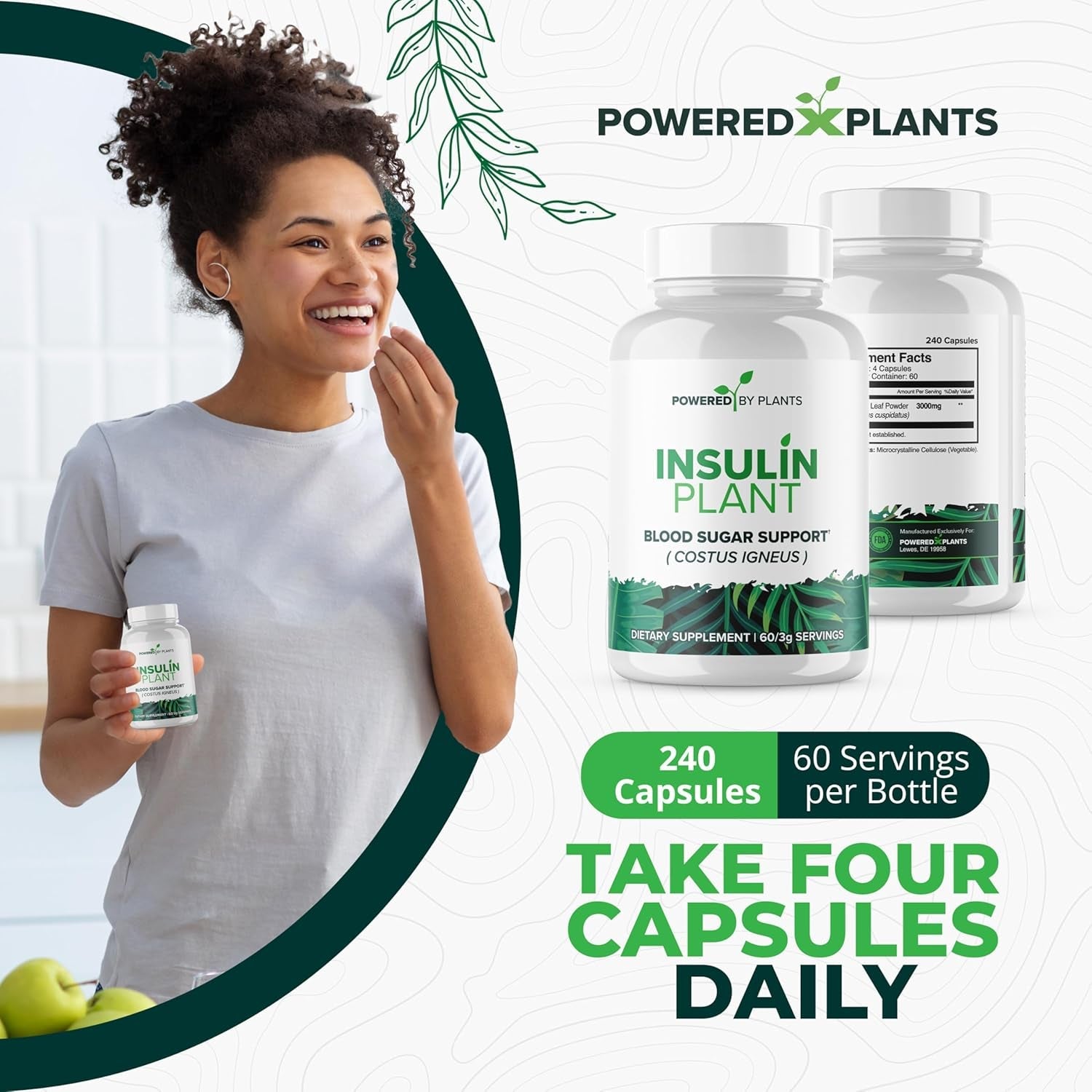 Insulin Plant Capsules - 3000Mg Costus Igneus Leaf Powder with No Binders, Fillers & Gluten - Vegan, Non GMO Supplements for Women & Men by Powered X Plants, 240 Capsules