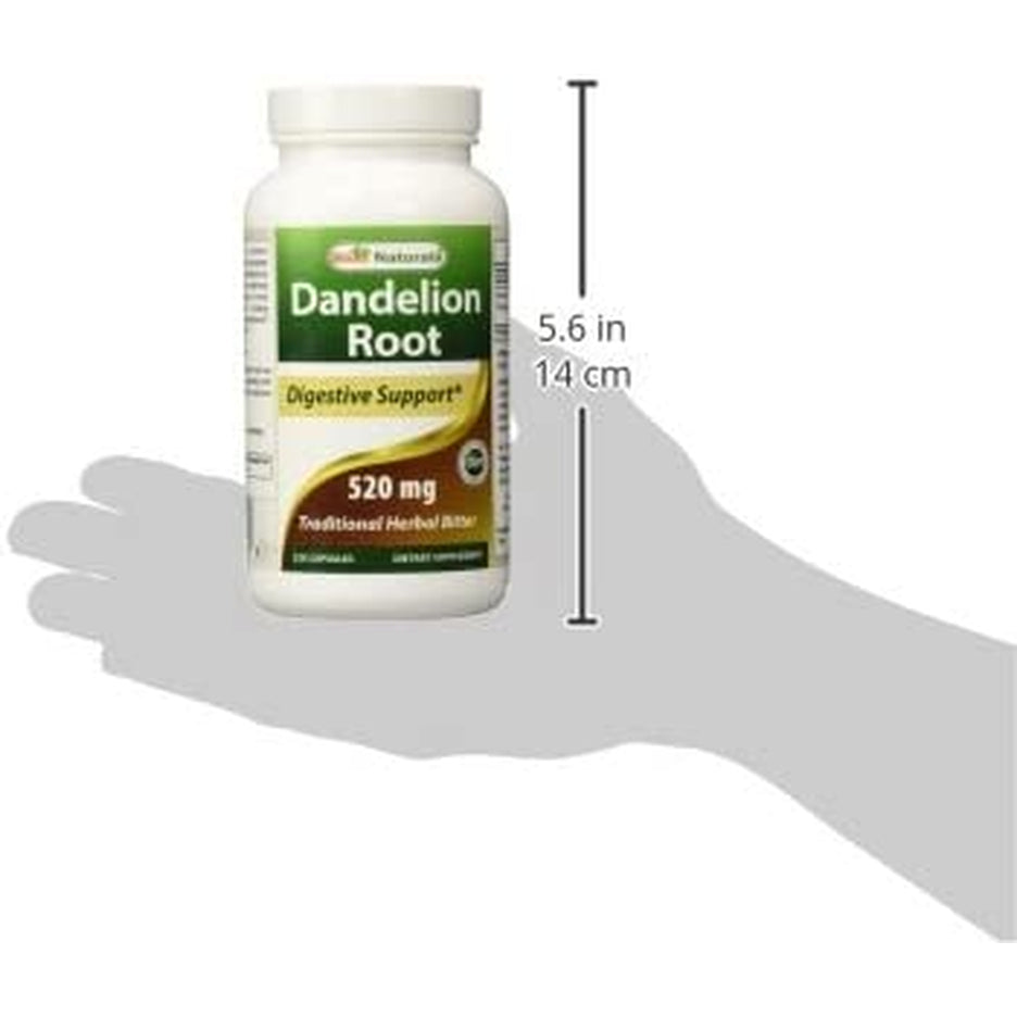 Best Naturals Dandelion Root 520 Mg 250 Capsules