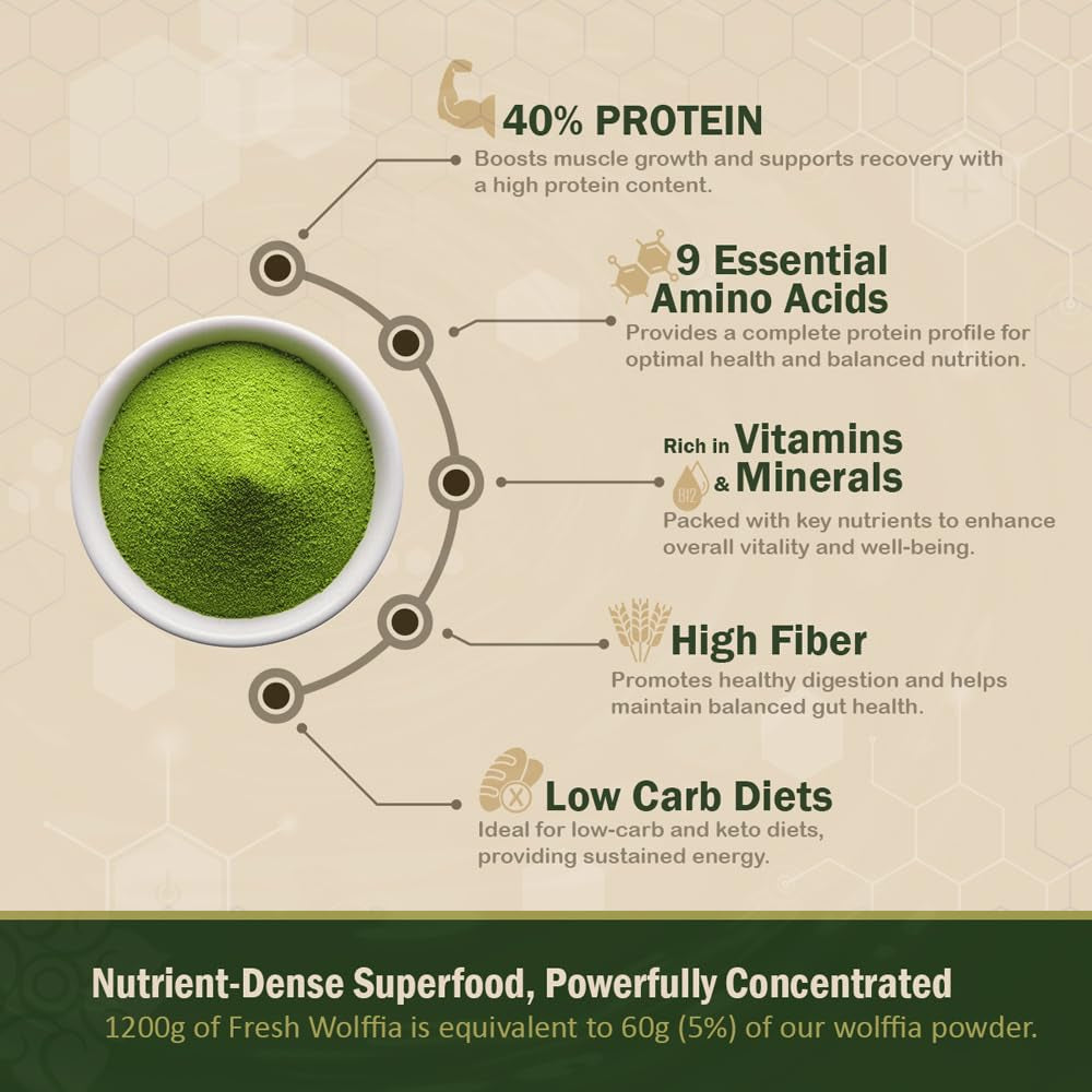 Premium Dried Wolffia Globosa Superfood | Low Carb, High Protein 40% | Rich in Minerals, Vitamins a E B12 & Essential Amino Acids | the Future of Sustainable Plant-Based Nutrition 2.11 Oz (60G)