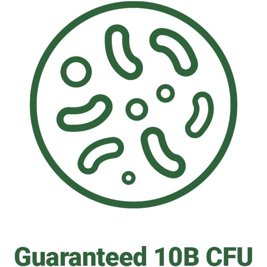 Bnrthin S30, Lactobacillus Gasseri BNR17, 10 Billion CFU Guaranteed, 30Capsules
