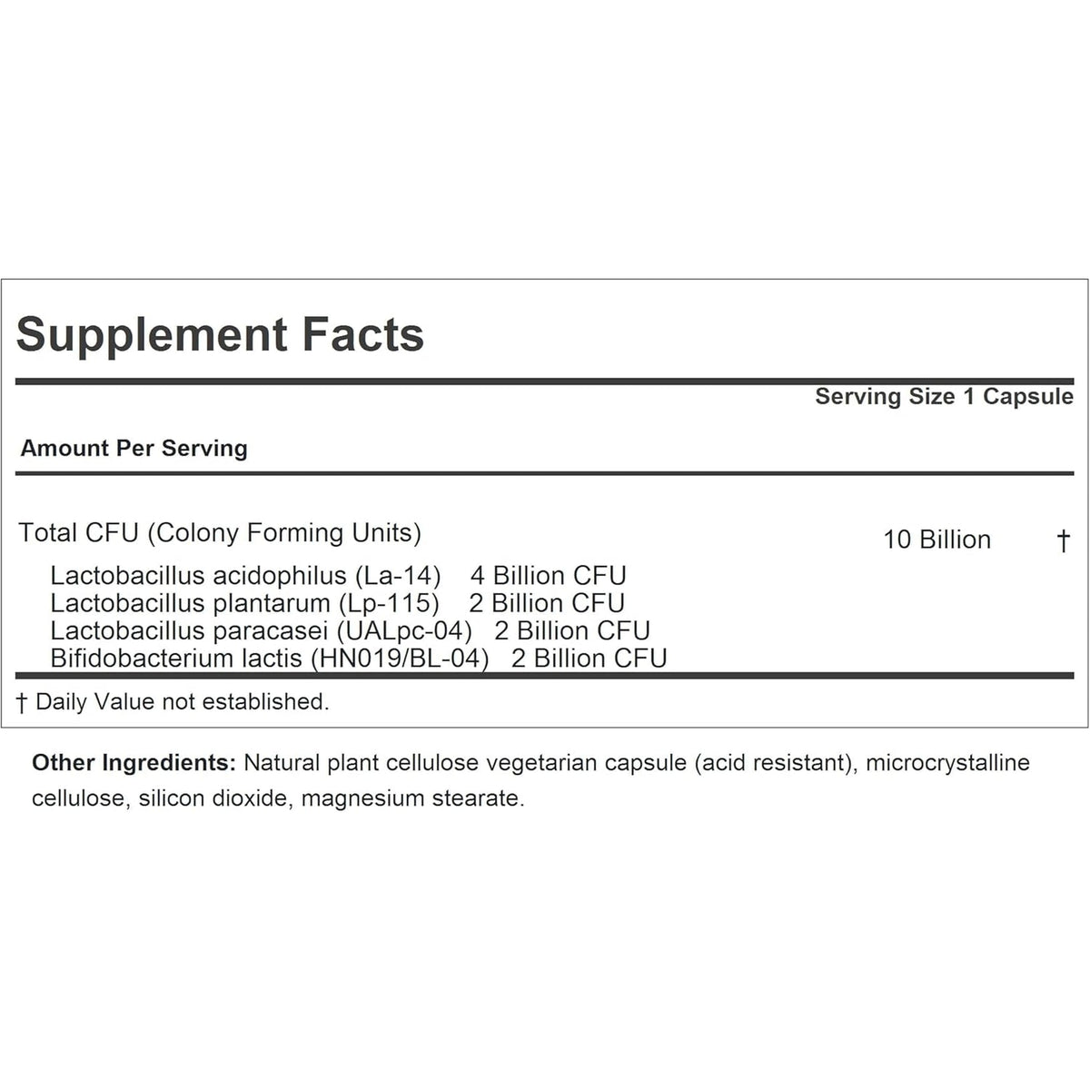 ANDREW LESSMAN Friendly Flora Probiotic 180 Capsules - 10 Billion CFU, Comprehensive Blend of Five Probiotic Strains, Powerful Immune and Digestive Support. Probiotics for Women or Men
