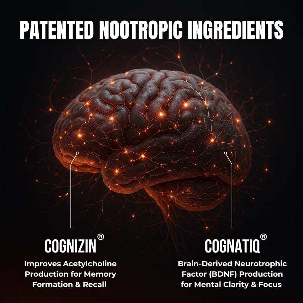 All-Natural Brain Supplement for Memory and Focus - Caffeine-Free Long-Term Cognitive Support - 10 Nootropic Ingredients Including Lion’S Mane, Bacopa, Turmeric, Ginkgo & Huperzine a - 90 Capsules