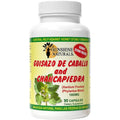 Sunshine Naturals Chanca Piedra with Guisazo De Caballo, Traditional Stone Breaker Herb, Kidney and Urinary Tract Support Supplement, 1000 Mg Proprietary Blend, 90 Capsules