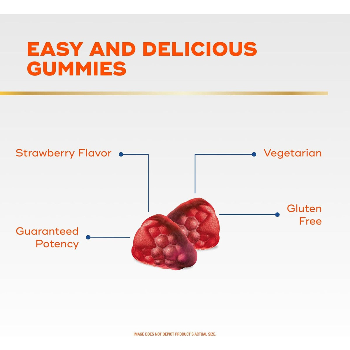 Align Probiotic, Bloating Relief + Food Digestion, Probiotics for Women and Men, Probiotic Helps Soothe Occasional Bloating*, with Vitamin B12 to Help Break down Food into Cellular Energy*,60 Gummies