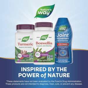 Nature'S Way Boswellia Standardized Extract, Supports Joint Mobility*, 307 Mg Boswellia Serrata Extract per Serving, Frankincense Supplement, Gluten Free & Vegan - 60 Tablets (Packaging May Vary)