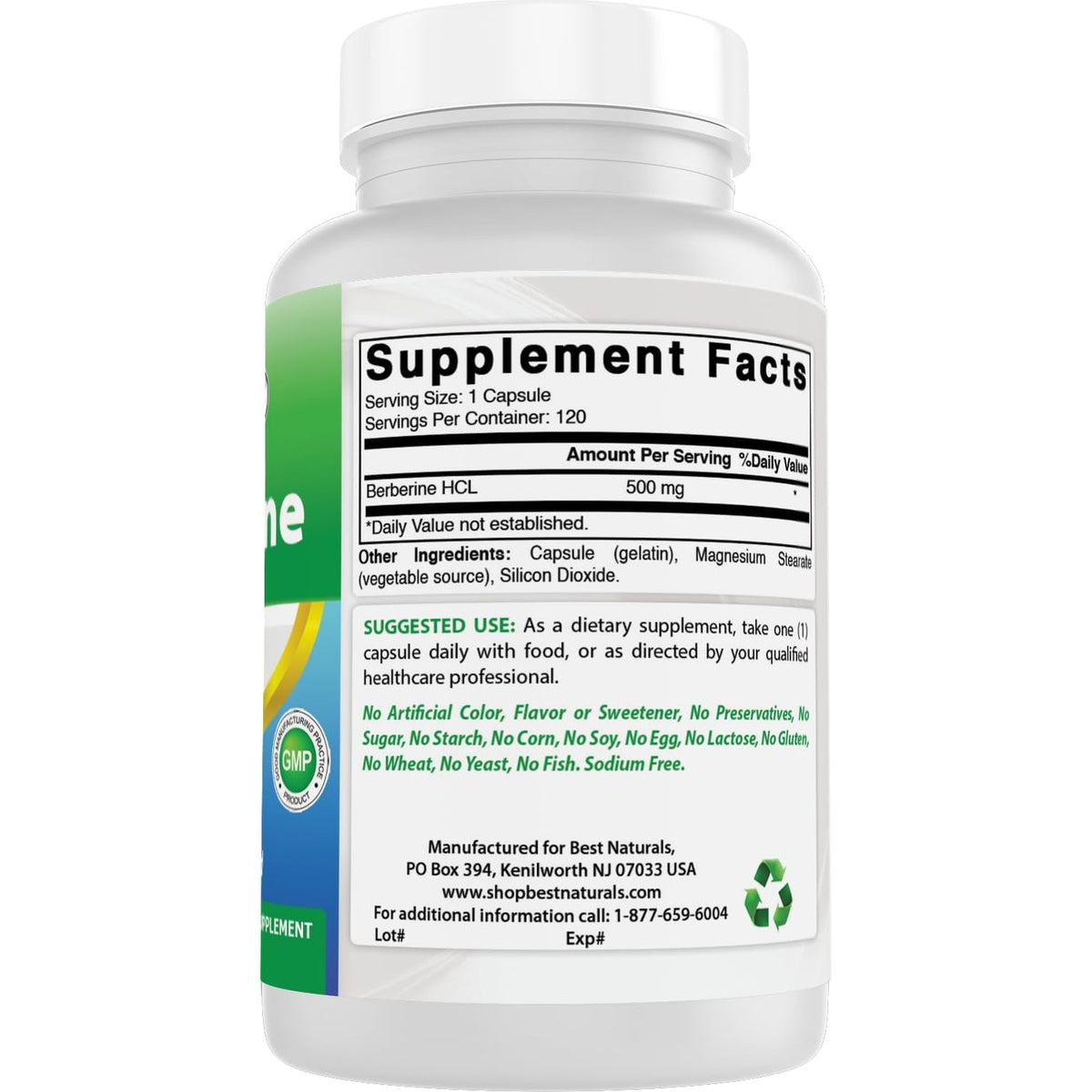 Best Naturals Berberine 500Mg 120 Capsules - Supports Immune Function, Cardiovascular & Gastrointestinal Function (120 Count (Pack of 1))