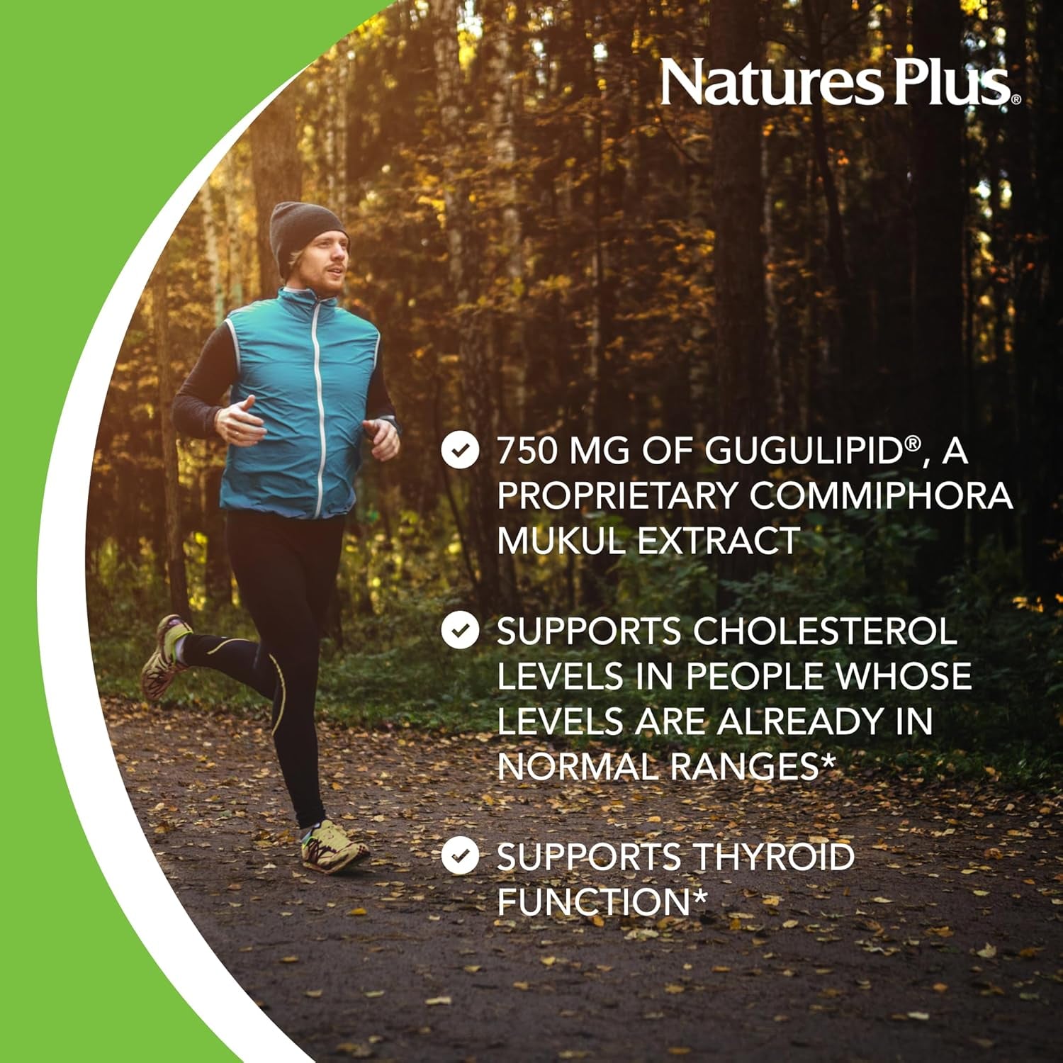 Naturesplus Herbal Actives Gugulipid, Extended Release- 1000 Mg, 2.5% Guggulsterones - 30 Vegan Tablets - Ayurvedic Botanical Supplement - Vegetarian, Gluten-Free - 30 Servings