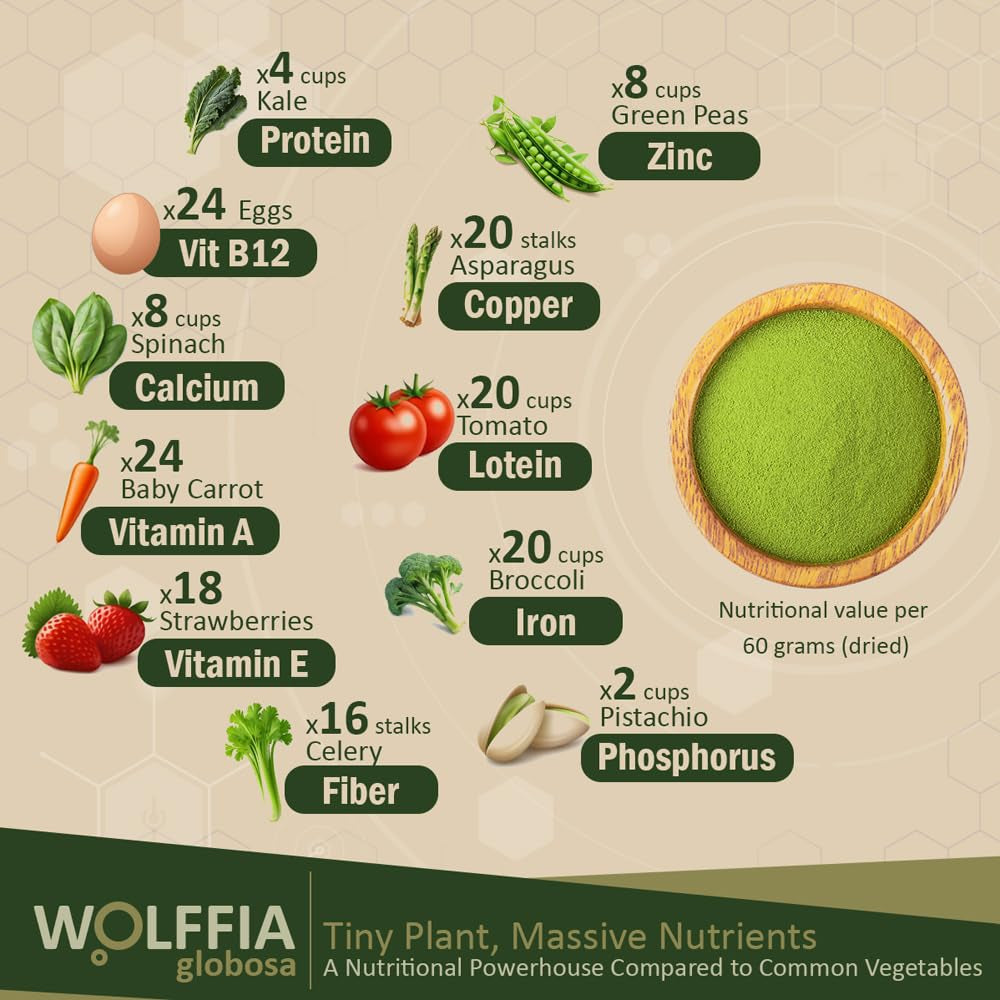 Premium Dried Wolffia Globosa Superfood | Low Carb, High Protein 40% | Rich in Minerals, Vitamins a E B12 & Essential Amino Acids | the Future of Sustainable Plant-Based Nutrition 2.11 Oz (60G)