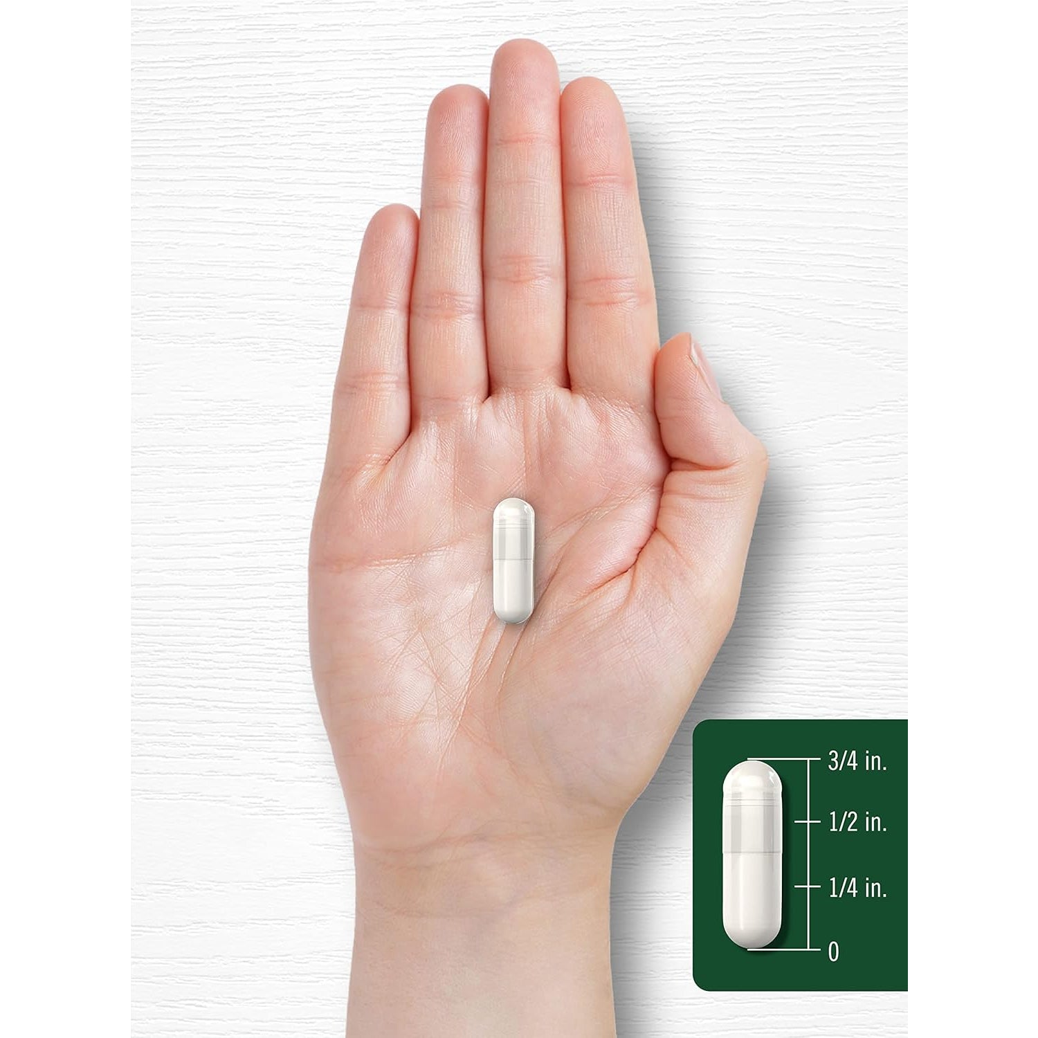 Carlyle Celery Seed Extract Capsules | 240 Count | Traditional Herb Supplement | Non-Gmo and Gluten Free Formula