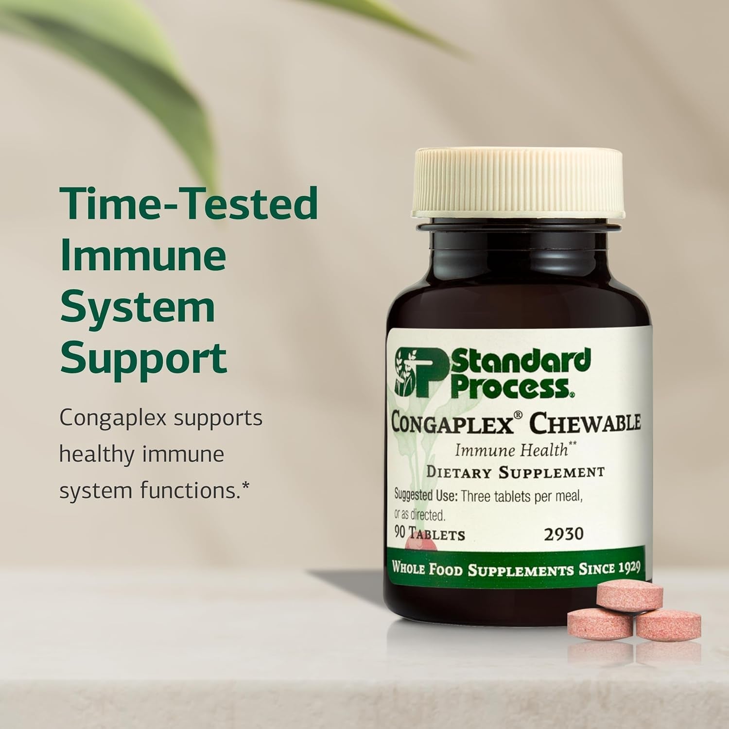 Standard Process Congaplex Chewable - Supplement for Immune System Support with Vitamin a - Supports Thymus Gland & Protein Synthesis - Non-Dairy & Non-Soy - 90 Tablets (30 Servings)